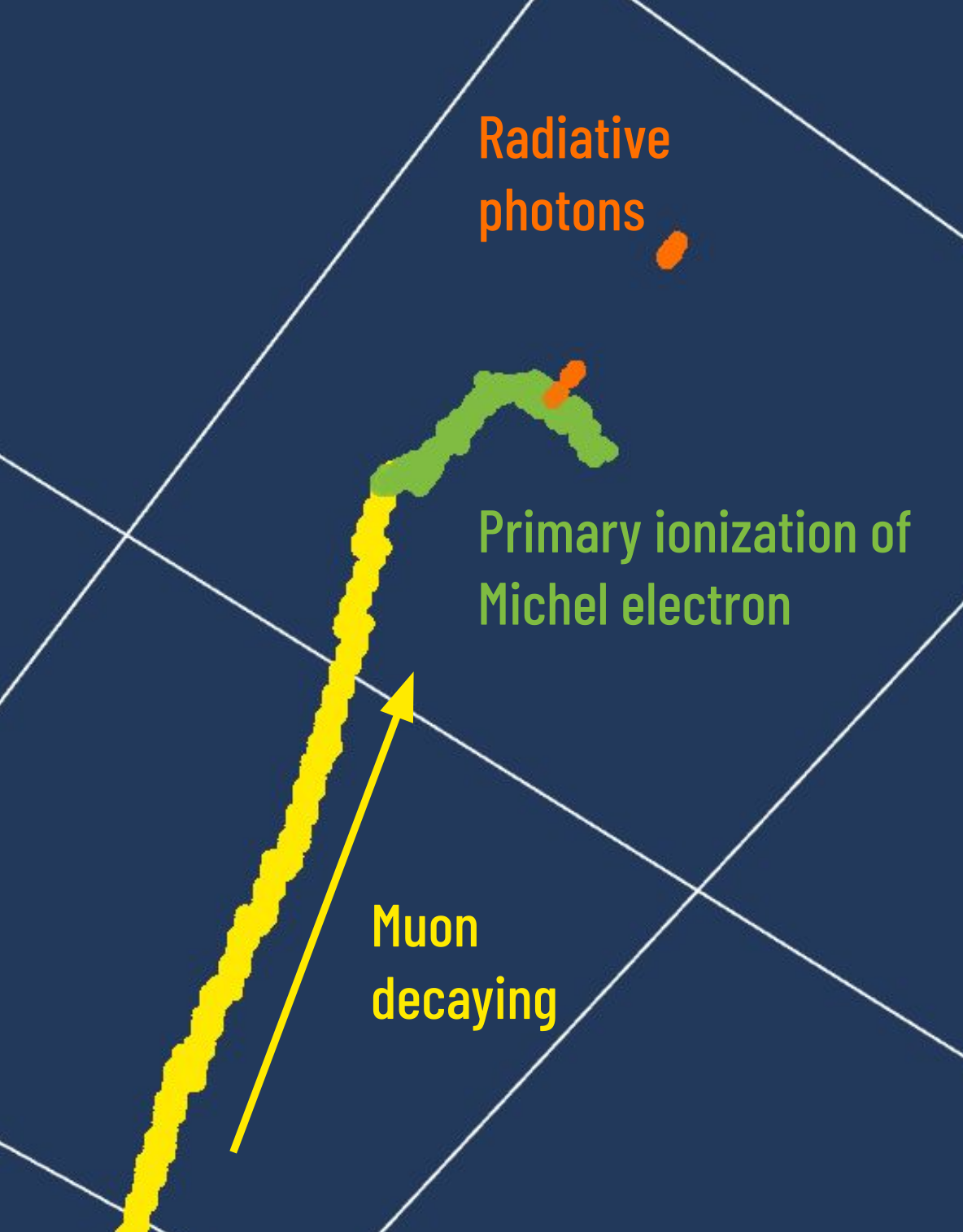 ../_images/michel.png